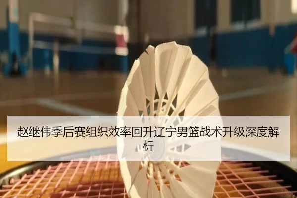 赵继伟季后赛组织效率回升辽宁男篮战术升级深度解析